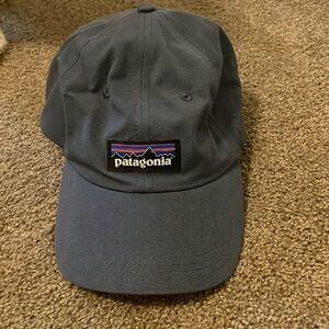 Patagonia Gray Cap